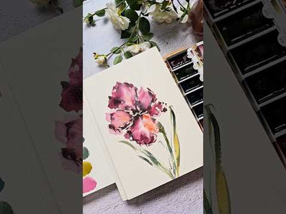 Boku-Undo E-Sumi Mei-Aguarelas Japonesas de Fusão Cromática com Tinta Sumi (Conjunto de 6 Cores Brilhantes)